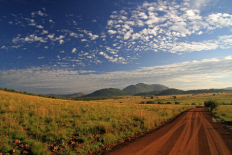 pilanesberg national park